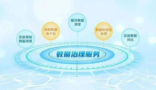 強基固本，鵬業數據治理服務獲客戶表彰