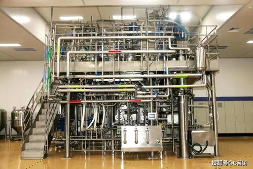 隆力奇智能化轉(zhuǎn)型 從日化巨頭到智匯變革的投影布局