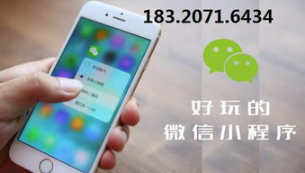 拓客小程序 為企業(yè)引流