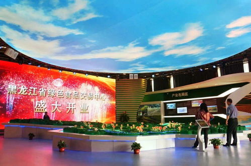 黑龍江 突出產(chǎn)業(yè)品牌 開放專業(yè)交易平臺(tái)助力綠色食品產(chǎn)業(yè)發(fā)展