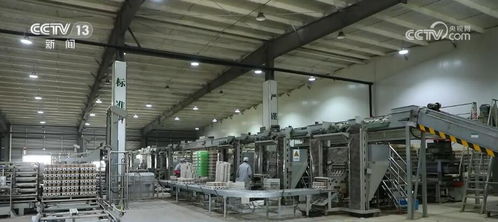 一朵小蘑菇帶動千億大產業 中國造 裝備助力鄉村振興