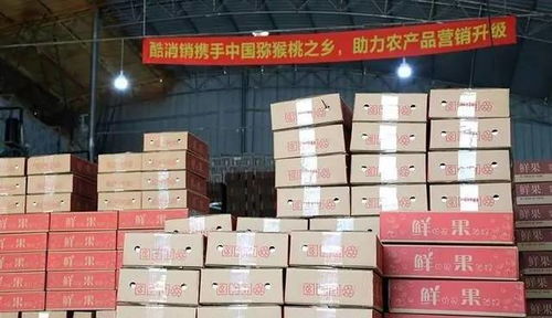 酷消銷上市在即,農(nóng)村電商依舊潛力十足